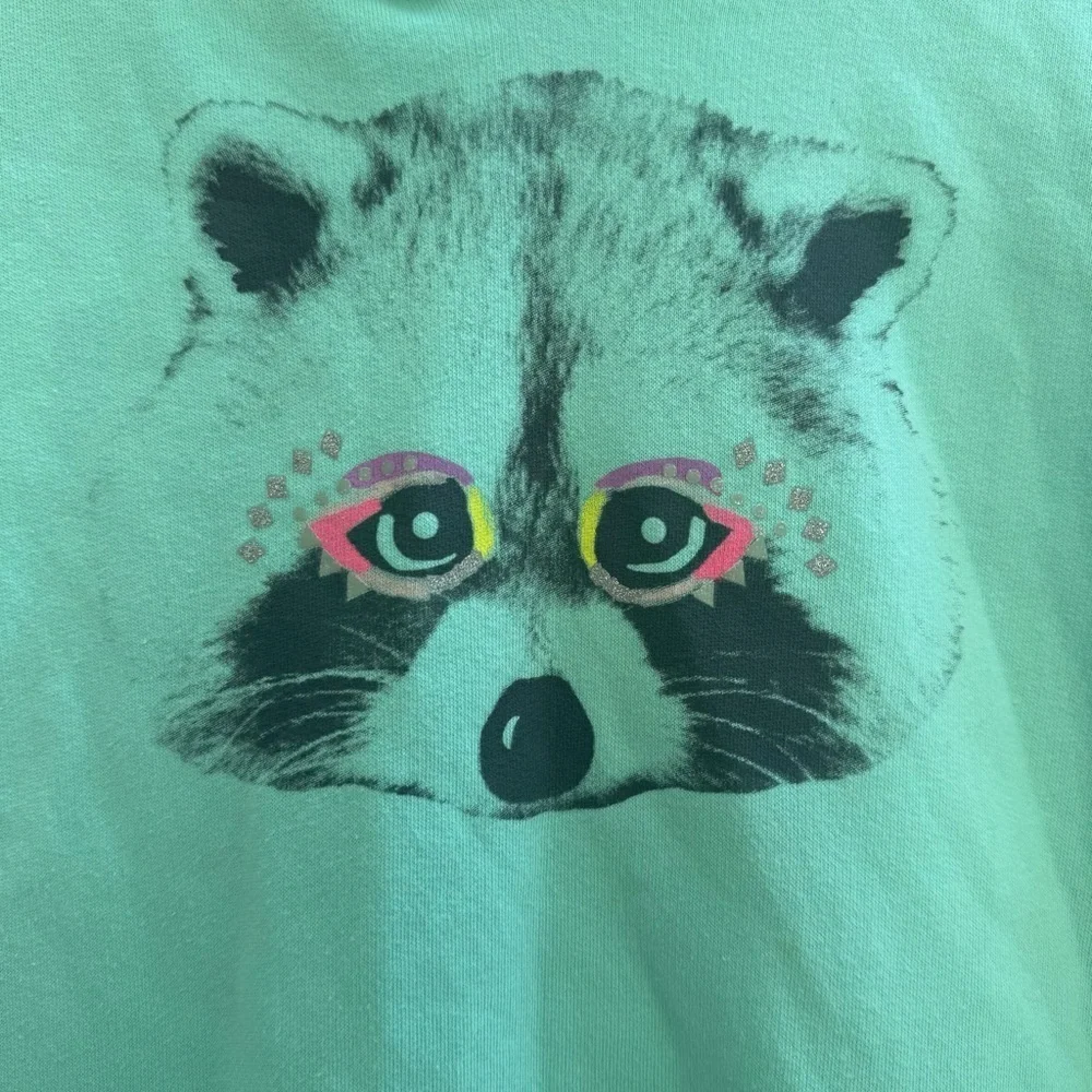 CAT & JACK Girls Mint Green Graphic Hoodie Raccoon Size 14/16 - Picture 2 of 8